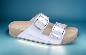 D-1298 srebrna papuča 36