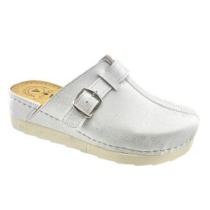 V-193 srebrna klompa 41