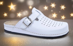 D-1249/1 bela klompa 41