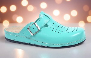 D-1249/1 zelena klompa 41