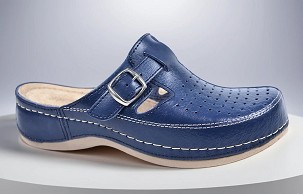 D-1088/1 teget klompa 36