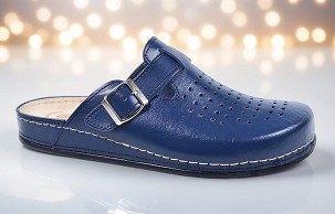 D-1249/1 teget klompa 43