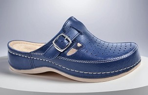 D-1088/1 teget klompa 40