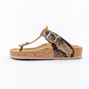 V-006 zmija papuča 38